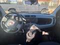 Fiat Panda Panda III 2021 1.0 firefly hybrid City Life s Grigio - thumbnail 10