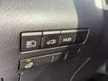 Lexus RX 450h Style Edition *V6 Hybrid*4x4*Panoramadach* Gris - thumbnail 24