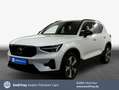 Volvo XC40 XC40 T5 Recharge DKG Plus Dark Weiß - thumbnail 1