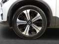 Volvo XC40 XC40 T5 Recharge DKG Plus Dark Weiß - thumbnail 7