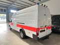 Ford Transit FT460 SO.KFZ ZIVIL*UNIKAT*EX-ASB*9.600KM Weiß - thumbnail 6