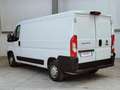 Fiat Ducato 33 2.3 MJT 130CV PM-TN Furgone Medio Tetto Basso Bianco - thumbnail 5