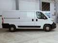 Fiat Ducato 33 2.3 MJT 130CV PM-TN Furgone Medio Tetto Basso Bianco - thumbnail 4