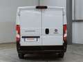Fiat Ducato 33 2.3 MJT 130CV PM-TN Furgone Medio Tetto Basso Bianco - thumbnail 6