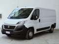 Fiat Ducato 33 2.3 MJT 130CV PM-TN Furgone Medio Tetto Basso Bianco - thumbnail 3