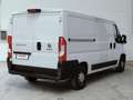 Fiat Ducato 33 2.3 MJT 130CV PM-TN Furgone Medio Tetto Basso Bianco - thumbnail 7