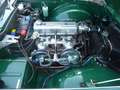 Triumph TR4 Overdrive Grün - thumbnail 9