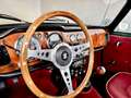 Triumph TR4 Overdrive Grün - thumbnail 3