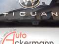 Volkswagen Tiguan 1.5 TSI DSG Life el. AHK LED Kamera Schwarz - thumbnail 11