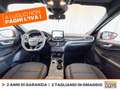 Ford Kuga 2.5 full hybrid st-line 2wd 190cv cvt Červená - thumbnail 11