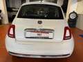 Fiat 500 500 III 1.2 Lounge easypower Gpl 69cv my18 Alb - thumbnail 5