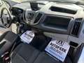 Ford Transit 2,2 TDCi Pritsche L2 350 *PICKERL-NEU*KLIMA* Weiß - thumbnail 13