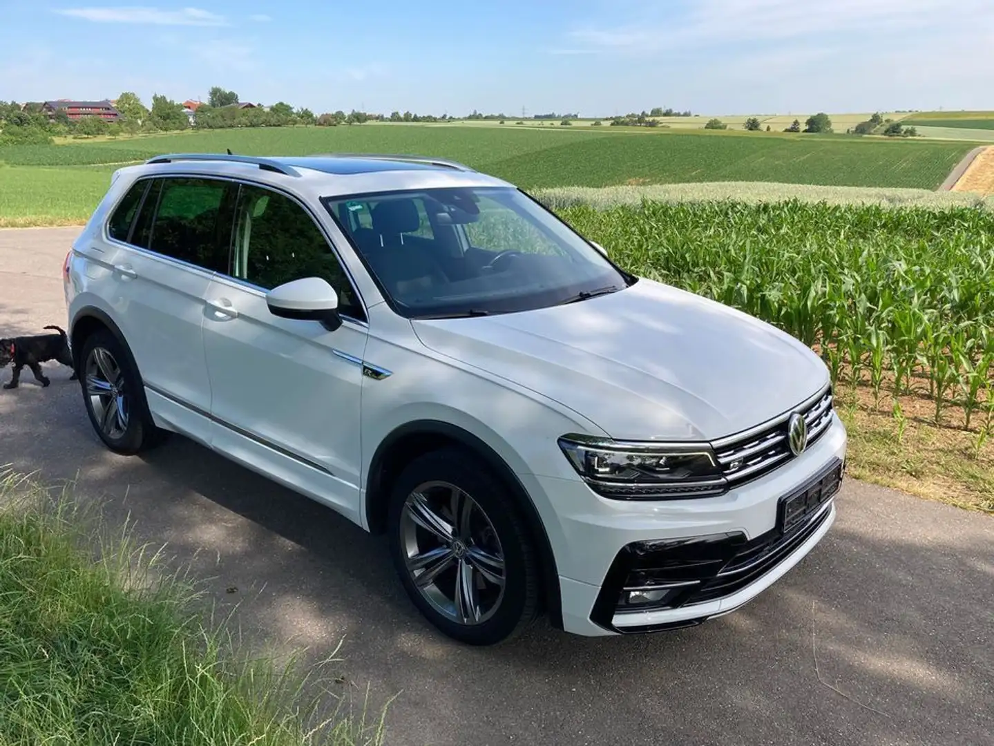 Volkswagen Tiguan 2.0 TDI R-line DSG 4MOTION Highline Wit - 2