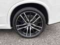 BMW X5 xDrive30d M Sport ACC PANO 360° KAMERA Blanc - thumbnail 23