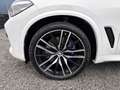 BMW X5 xDrive30d M Sport ACC PANO 360° KAMERA Blanc - thumbnail 22