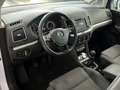 Volkswagen Sharan Comfortline 7-Sitzer Bi-Xenon Standheiz. Weiß - thumbnail 12