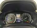 Lexus RX 450h Executive Line AWD Albastru - thumbnail 14
