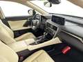 Lexus RX 450h Executive Line AWD Blue - thumbnail 8