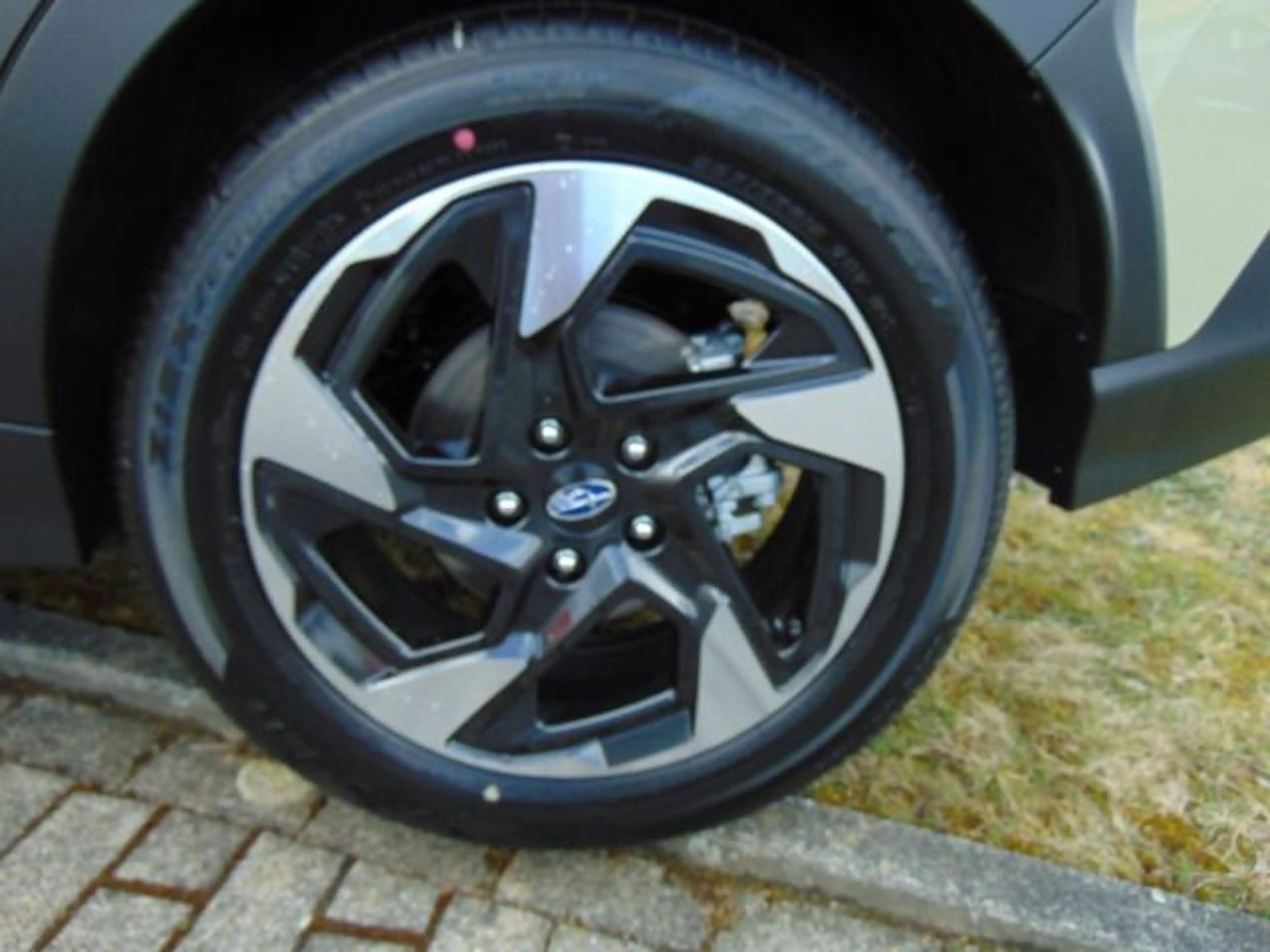 Subaru Crosstrek 2.0ie e-BOXER Platinum Lineart, Leder — photo 6