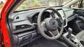Subaru Crosstrek Comfort Plus Rouge - thumbnail 12