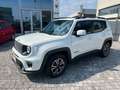 Jeep Renegade 1.0 t3 Business 2wd Iva Deduc.  Solo 41000 Km !! Wit - thumbnail 1