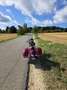 Kawasaki VN 900 Rood - thumbnail 3