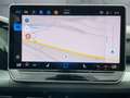 Volkswagen Golf VIII 2.0 TDI DSG GOAL LEDplus+NAVI+AHK+ACC Grau - thumbnail 11