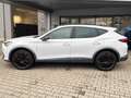 CUPRA Formentor 1.4 e-Hybrid VZ Pano Totw. ACC AHK 19" Weiß - thumbnail 9