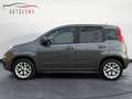 Fiat Panda Panda 1.2 Lounge Grigio - thumbnail 1
