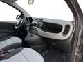 Fiat Panda Panda 1.2 Lounge Grigio - thumbnail 13