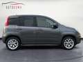 Fiat Panda Panda 1.2 Lounge Grigio - thumbnail 2