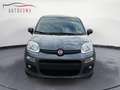 Fiat Panda Panda 1.2 Lounge Grigio - thumbnail 5