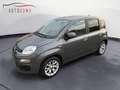 Fiat Panda Panda 1.2 Lounge Grigio - thumbnail 4