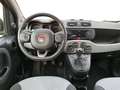 Fiat Panda Panda 1.2 Lounge Grigio - thumbnail 11