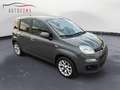 Fiat Panda Panda 1.2 Lounge Grigio - thumbnail 3