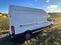 Ford Transit Van 2.0 Trend 130CV 330 L3 H3 Bianco - thumbnail 5