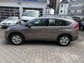 Honda CR-V Comfort Black Edition 2WD,AHK,Navi,PDC Grau - thumbnail 6