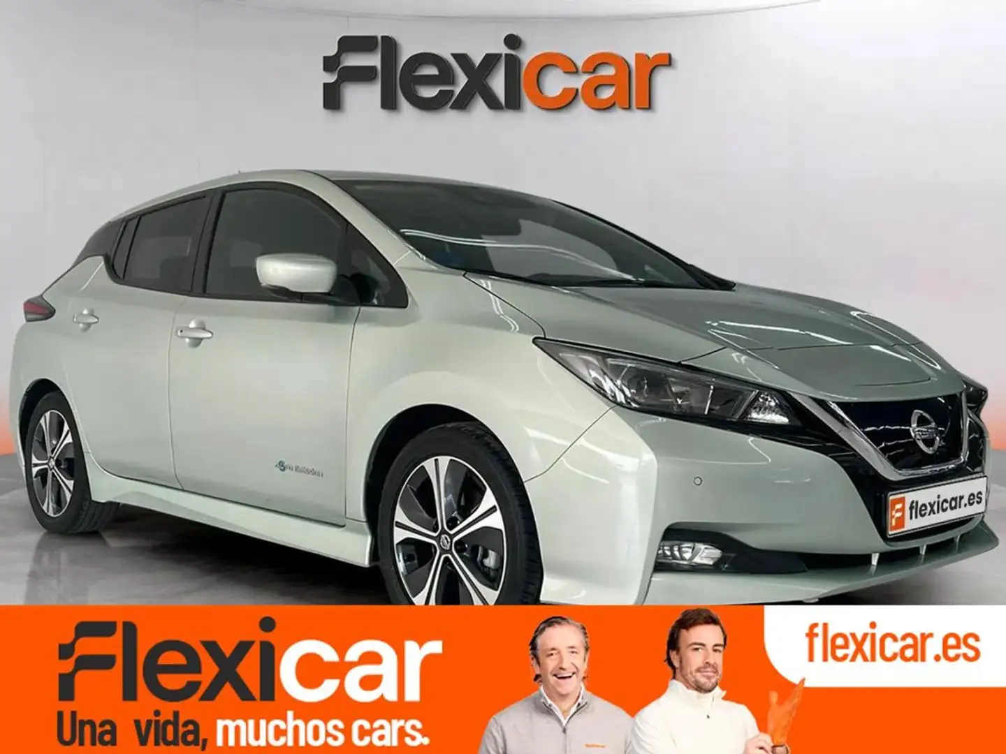 Nissan Leaf 40kWh N-Connecta Beige - 1