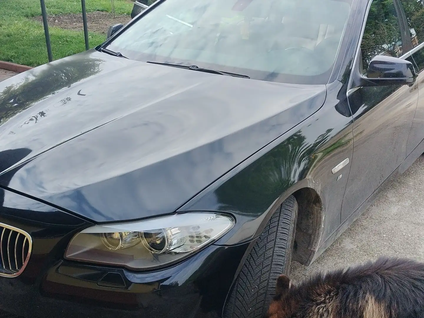 BMW 520 520d Touring - 1