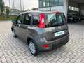 Fiat Panda 1.0 FireFly S&S Hybrid Gris - thumbnail 4