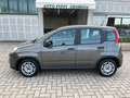 Fiat Panda 1.0 FireFly S&S Hybrid Gris - thumbnail 15