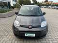 Fiat Panda 1.0 FireFly S&S Hybrid Gris - thumbnail 2