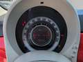 Fiat 500 1.2 Cult easypower Gpl 69cv Rot - thumbnail 11