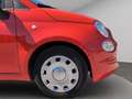 Fiat 500 1.2 Cult easypower Gpl 69cv Rot - thumbnail 20