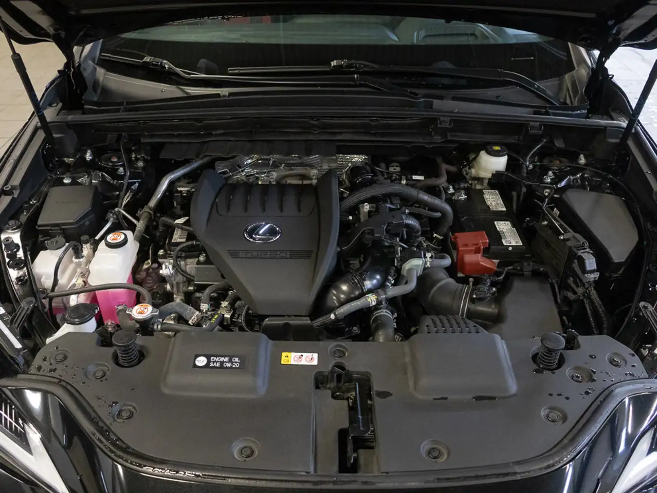 Lexus NX fotografie Lexus NX