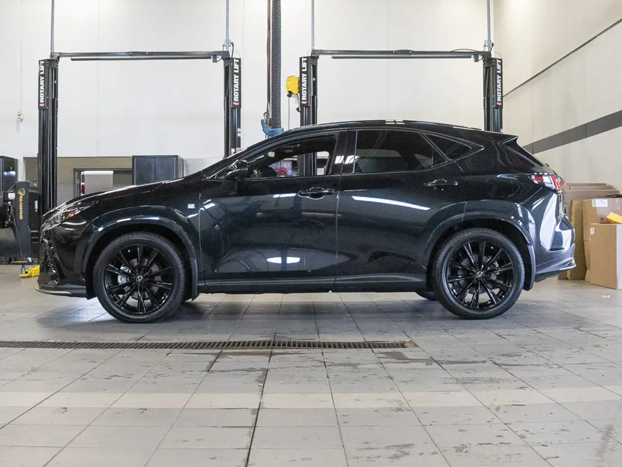 Lexus NX fotografie Lexus NX
