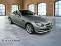 Mercedes-Benz SLK 200 AUT DynLicht Fernlichtass. KlimaA LED Argintiu - thumbnail 3