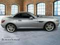 Mercedes-Benz SLK 200 AUT DynLicht Fernlichtass. KlimaA LED Argintiu - thumbnail 4
