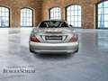 Mercedes-Benz SLK 200 AUT DynLicht Fernlichtass. KlimaA LED Argintiu - thumbnail 6