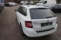 Skoda Fabia Fabia Combi Ambition*BI-XENON*PDC*ALU*SHZ* Wit - thumbnail 11